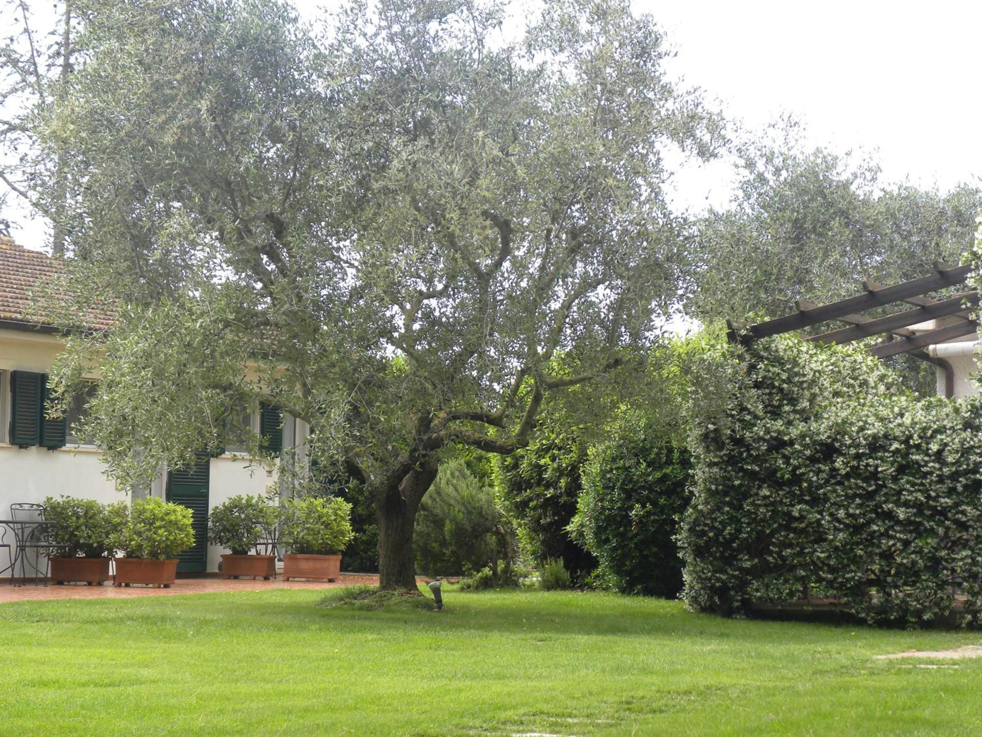 Country house Ghiaccio Bosco